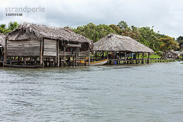 Häuser der Warao-Indianer am Flussufer  Orinoco-Delta  Venezuela