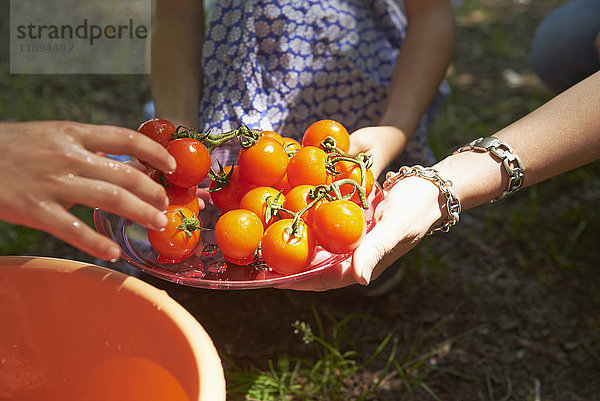 Nahaufnahme von Freunden beim Waschen von Kirschtomaten beim Picknick  München  Bayern  Deutschland