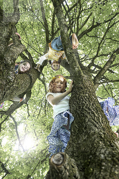 Mädchen klettern auf Baum  München  Bayern  Deutschland