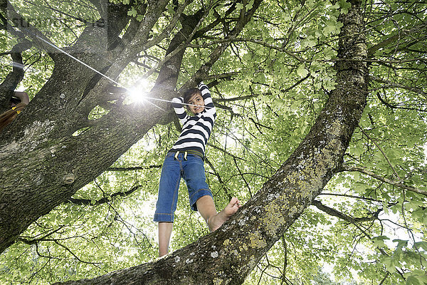 Mädchen klettert auf Baum und lächelt  München  Bayern  Deutschland