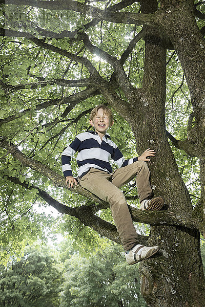 Junge klettert auf Baum und lächelt  München  Bayern  Deutschland