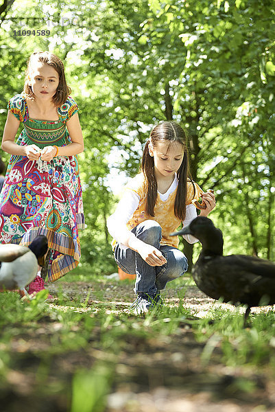 Zwei Mädchen füttern Enten im Park mit Brezeln  München  Bayern  Deutschland