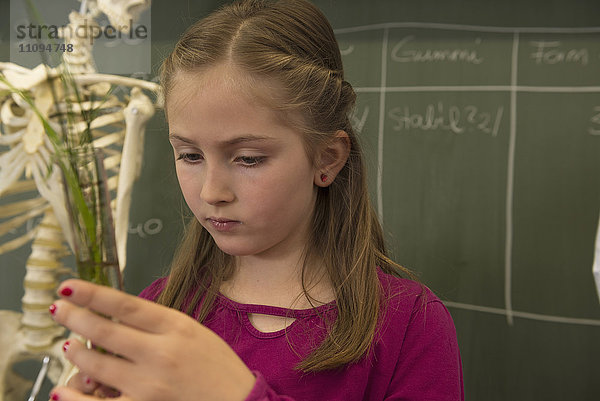 Nahaufnahme einer Schülerin  die ein Reagenzglas mit Kräutern im Klassenzimmer hält  Fürstenfeldbruck  Bayern  Deutschland