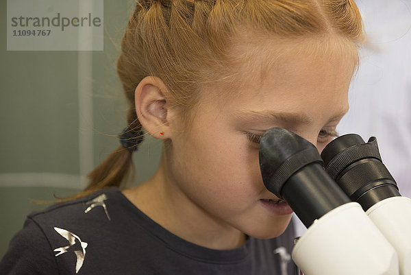 Schulmädchen schaut durch ein Mikroskop  Fürstenfeldbruck  Bayern  Deutschland