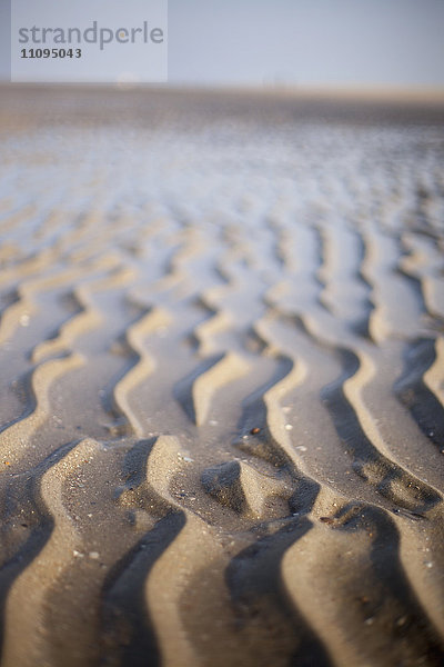 Wellenmuster Sand am Strand  Renesse  Schouwen-Duiveland  Zeeland  Niederlande