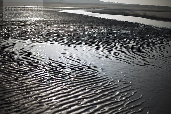 Wellenmuster Sand am Strand  Renesse  Schouwen-Duiveland  Zeeland  Niederlande