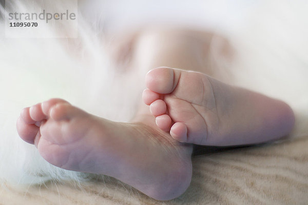 Nahaufnahme des Fußes eines neugeborenen schlafenden Mädchens  Fürstenfeldbruck  Bayern  Deutschland
