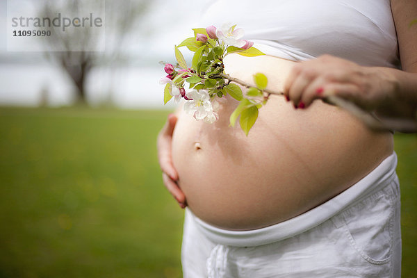 Schwangere Frau mit Kirschblüten am Seeufer stehend  Ammersee  Oberbayern  Bayern  Deutschland