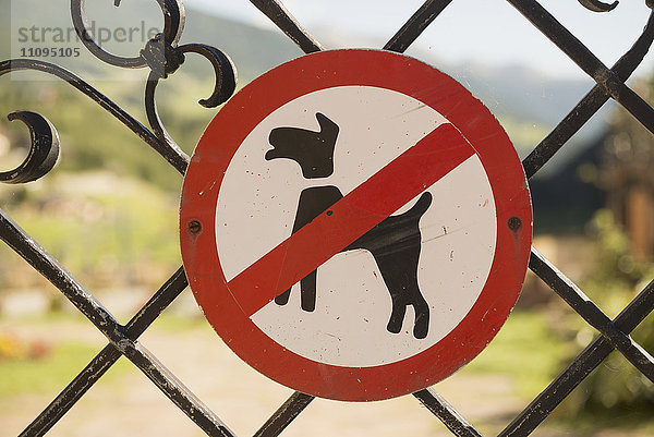 Schild Hunde verboten am Tor  Kärnten  Österreich