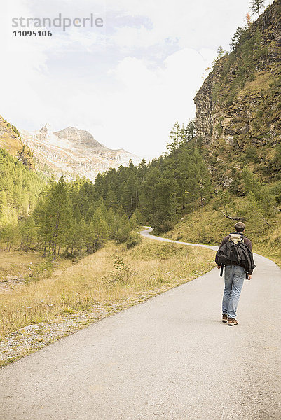 Rückansicht eines erwachsenen Wanderers auf einer Bergstraße  Österreichische Alpen  Kärnten  Österreich