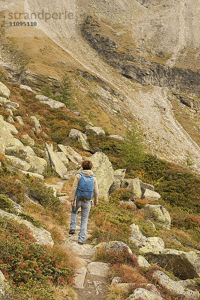 Rückansicht eines erwachsenen Wanderers  der auf einen Berg steigt  Österreichische Alpen  Zirmsee  Kärnten  Österreich