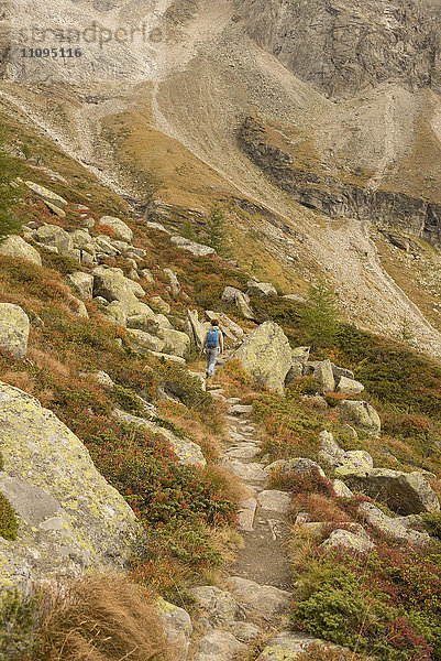 Rückansicht eines erwachsenen Wanderers  der auf einen Berg steigt  Österreichische Alpen  Zirmsee  Kärnten  Österreich