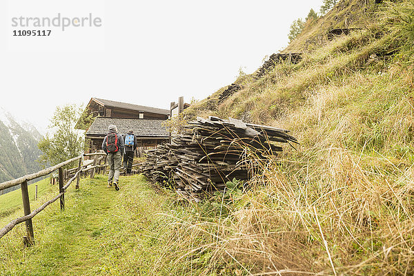 Rückansicht zweier erwachsener Wanderer auf einem Wanderweg  Österreichische Alpen  Kärnten  Österreich