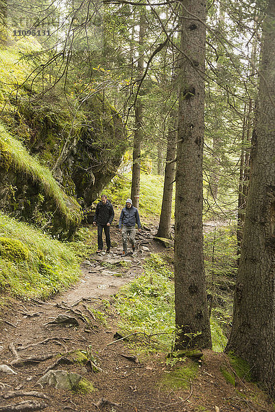 Zwei erwachsene Wanderer beim Wandern im Wald  Österreichische Alpen  Kärnten  Österreich