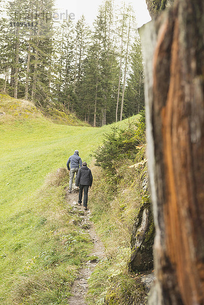 Zwei erwachsene Wanderer beim Wandern im Wald  Österreichische Alpen  Kärnten  Österreich