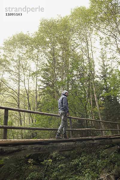 Älterer Wanderer beim Überqueren eines Stegs im Wald  Österreichische Alpen  Kärnten  Österreich