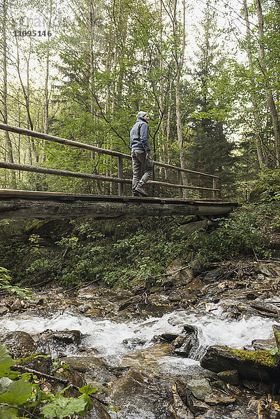 Älterer Wanderer beim Überqueren eines Stegs im Wald  Österreichische Alpen  Kärnten  Österreich