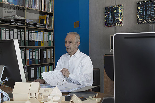 Älterer Geschäftsmann bei der Arbeit im Büro  Freiburg im Breisgau  Baden-Württemberg  Deutschland