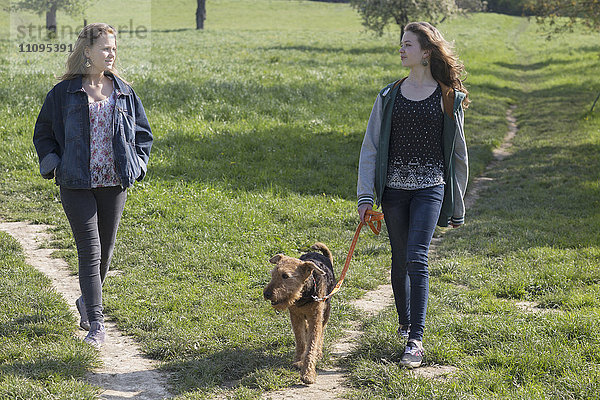 Teenager-Mädchen beim Spaziergang mit ihrem Hund  Freiburg im Breisgau  Baden-Württemberg  Deutschland