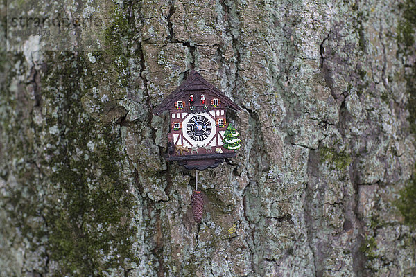 Antike Wanduhr am Baumstamm hängend