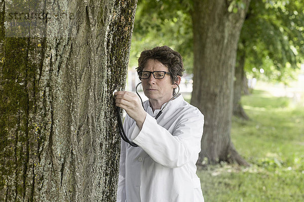 Ärztin überprüft den Gesundheitszustand eines Baumes  Freiburg im Breisgau  Baden-Württemberg  Deutschland