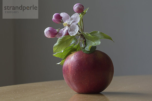 Nahaufnahme eines Apfels mit Blume auf dem Tisch