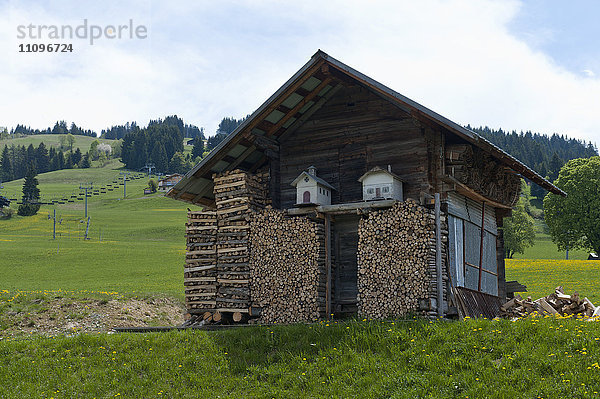 Holzlager  Französische Alpen  Savoie  Rhone Alpes  Frankreich  Europa