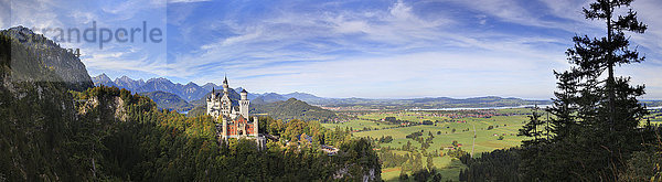 Schloss Neuschwanstein  Ammergauer Alpen  Allgäu  Bayern  Deutschland  Europa