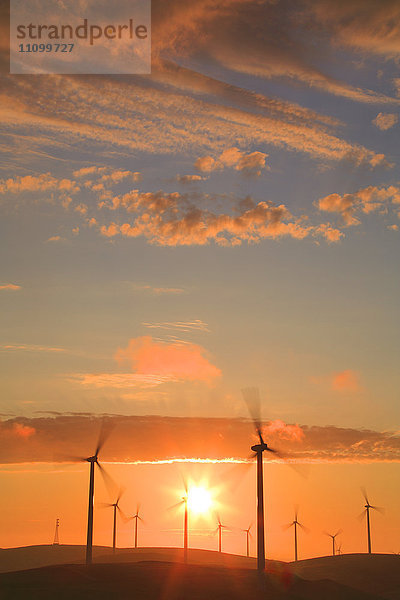 Windpark in der Morgendämmerung