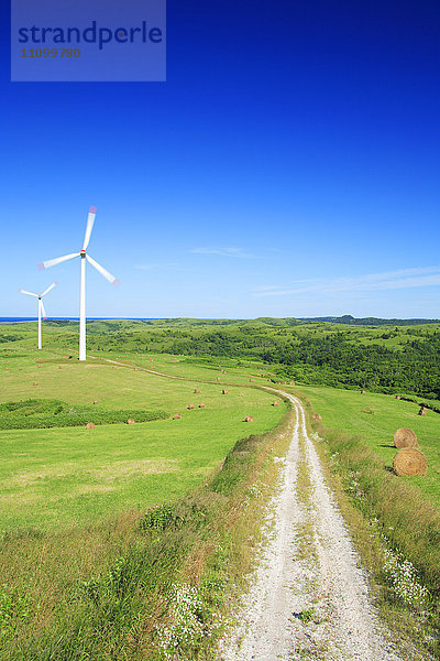 Windpark und ländliche Straße
