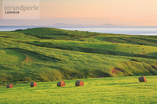 Feld und Heuballen auf den Soya Hills