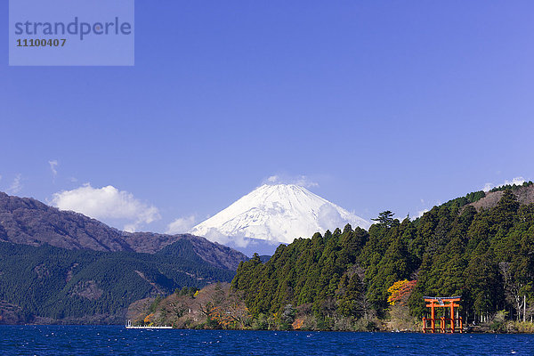 Berg Fuji und Torii