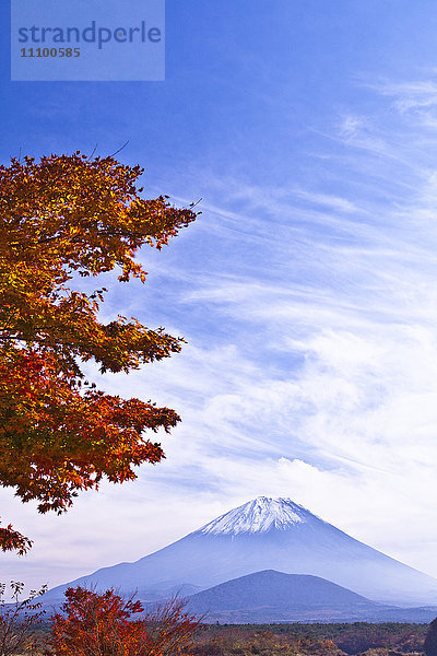 Berg Fuji und Herbstbaum
