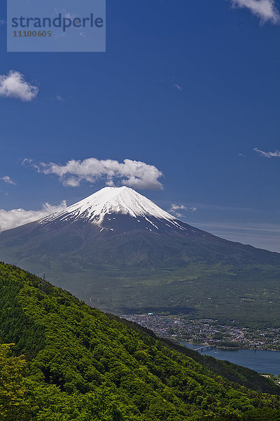 Maulwurf Fuji