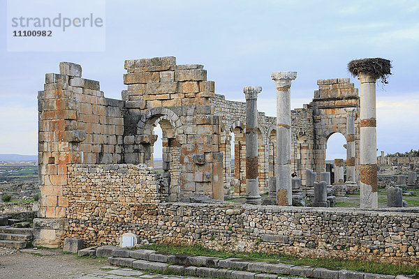 Ruinen von Volubilis