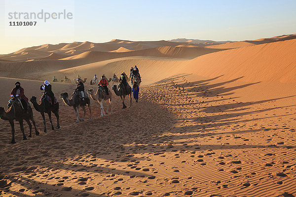 Wüste  Merzouga  Marokko