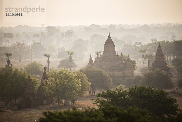 Sonnenaufgang bei den Tempeln von Bagan (Pagan)  Myanmar (Burma)  Asien