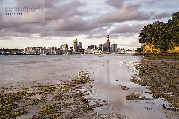 Skyline von Auckland bei Sonnenaufgang  Auckland  Nordinsel  Neuseeland  Pazifik