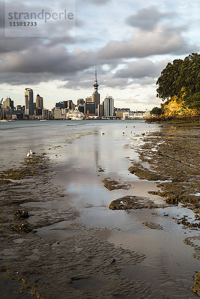 Skyline von Auckland über den Hafen von Bayswater aus gesehen  Auckland  Nordinsel  Neuseeland  Pazifik