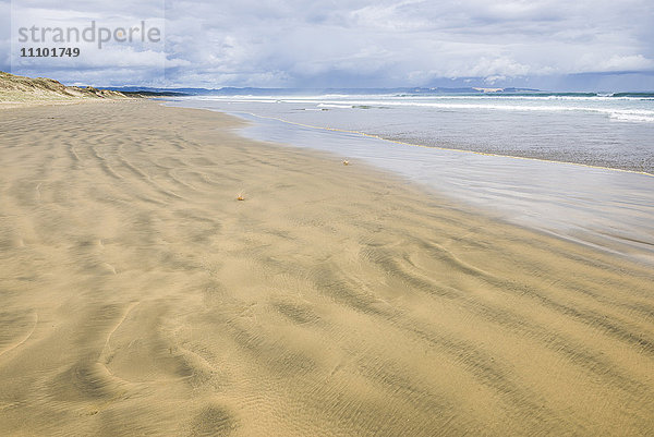 90 Mile Beach  Northland  Nordinsel  Neuseeland  Pazifik