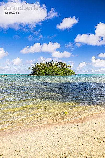 Tropische Insel Motu Taakoka mit Palmen in der Muri-Lagune  Rarotonga  Cookinseln  Südpazifik  Pazifik