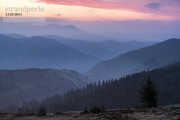 Karpatenlandschaft während eines nebligen Sonnenaufgangs  Ranca  Region Oltenia  Rumänien  Europa