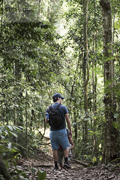 Tourist auf einer Dschungelwanderung im Gunung Leuser National Park  Bukit Lawang  Nordsumatra  Indonesien  Südostasien  Asien
