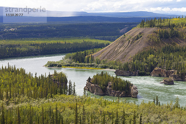 Die Fünf-Finger-Stromschnellen und der Yukon River  Yukon-Territorium  Kanada  Nordamerika