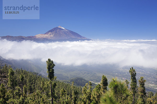 Blick über das Orotavatal zum Pico del Teide  Nationalpark Teide  UNESCO-Weltkulturerbe  Teneriffa  Kanarische Inseln  Spanien  Europa