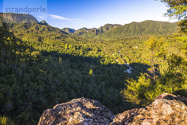 Kauaeranga Valley  Coromandel Forest Park  Coromandel-Halbinsel  Nordinsel  Neuseeland  Pazifik