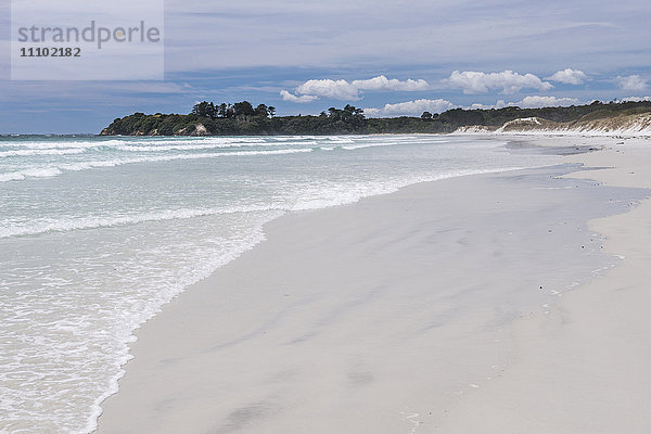 Rarawa Beach  ein beliebter und schöner weißer Sandstrand in der Region Northland  Nordinsel  Neuseeland  Pazifik