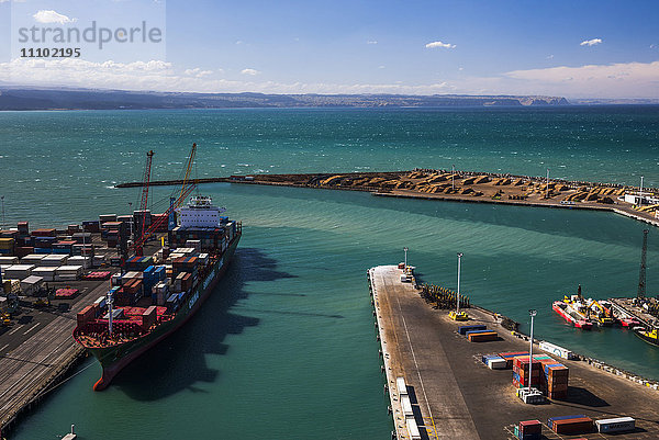 Frachtschiff im Hafen von Napier  Region Hawkes Bay  Nordinsel  Neuseeland  Pazifik