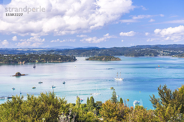 Bay of Islands vom Flagstaff Hill in Russell  Region Northland  Nordinsel  Neuseeland  Pazifik