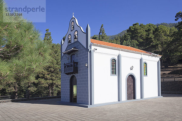 Kapelle Ermita Virgen del Pino  Kanarische Kiefer  bei El Paso  La Palma  Kanarische Inseln  Spanien  Europa